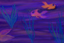 more-fish