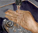 wash-hands