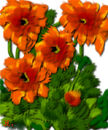 yellowbrown