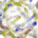 nw-07-21-2011-ellipse