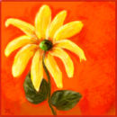 a-sunny-flower