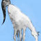 ice-horse by crisco