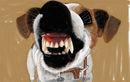 mans-best-friend