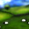 sheeps by julieanne