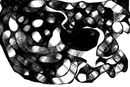 random-drawing-by-my-b