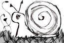 snail snail
