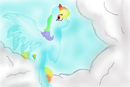 rainbow-dash