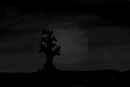 haunted-night