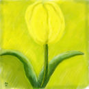 only-one-tulip