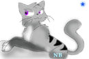 warrior-catpoptart