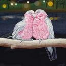 pink-and-white-birds pink-and-white-birds