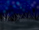 midnight-forest