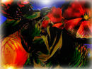 mexico-christmas-morni
