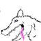 sketch by Novack