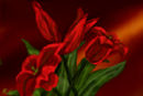 happy-bday-to-me
