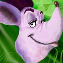 souuur-kangaroo