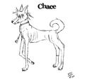 chacejpg