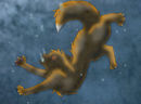 flametail