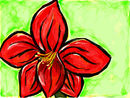amaryllis-flower