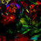 espirit-flores by gabyconstanza