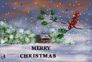 merry-christmas merry-christmas