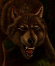 snarl snarl