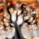 autumn-sadness autumn-sadness