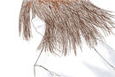 girl-in-the-drawing