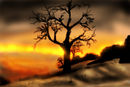 fire-sky