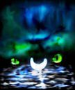 night