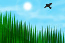 the-forest