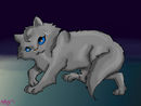 cinderpelt