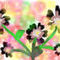 flowers by dragonflyx
