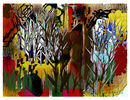 forest-and-birds