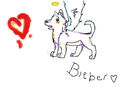 anime-wolf-cub-angel