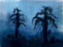 trees-in-mist