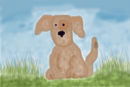 puppy-2