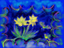 daffodils