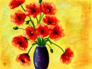 a-lot-of-poppies
