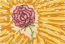rose-sunlight