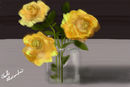 roses roses