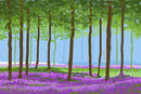 woods