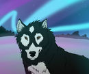 arcticwolf