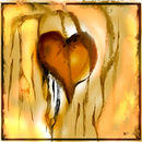 heart-for-you heart-for-you