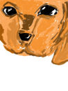 unfisinshed-puppy-dogg