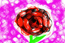 rose-of-shadows