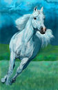 horse-and--storm