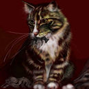 wild-cat