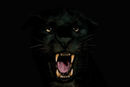 rawwrrr rawwrrr