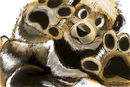 lolfurries